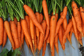 Carota