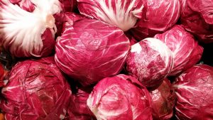 radicchio rosso